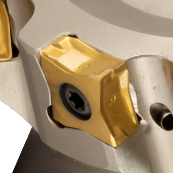 Gold Max 8 closeup image